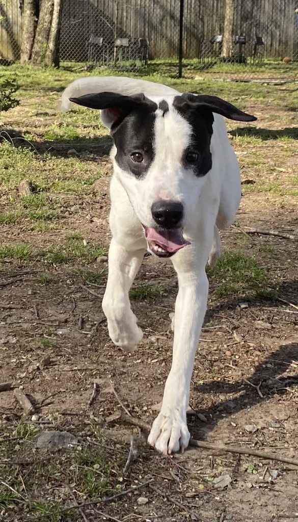 Zeus
