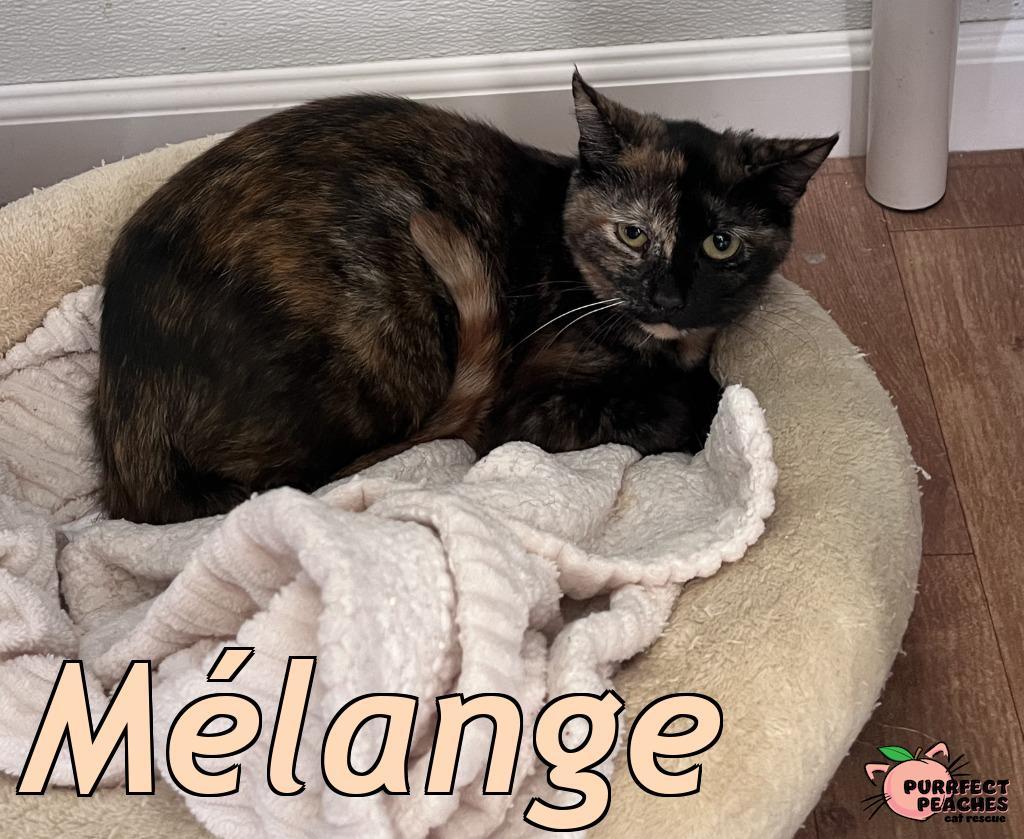 Mlange