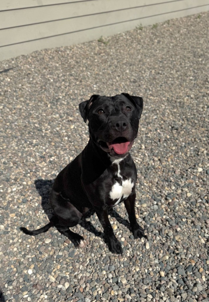 Zoe