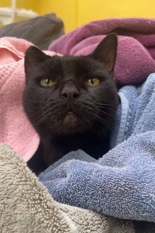Matilda