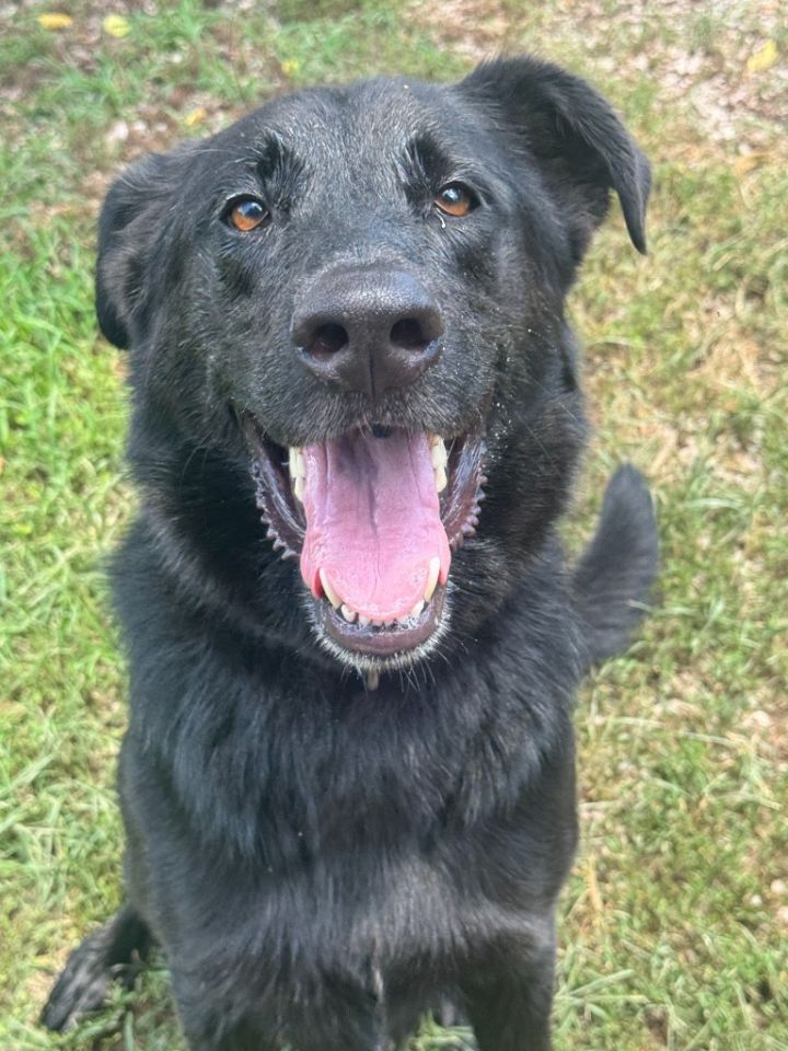 Drillbit (Dakota) 4