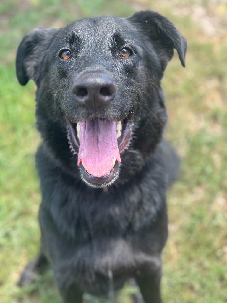 Drillbit (Dakota)