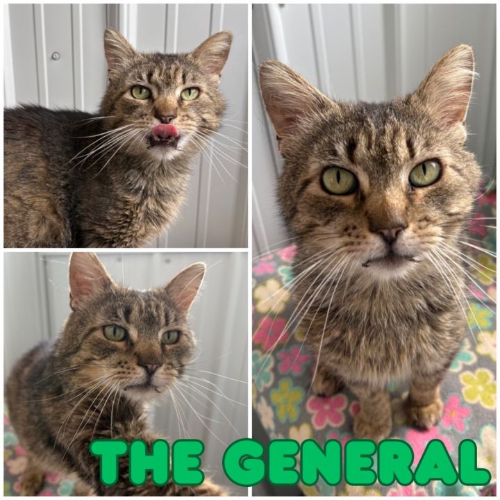 General 1