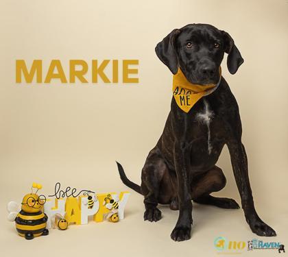 Markie