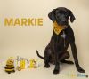 Markie photo 1