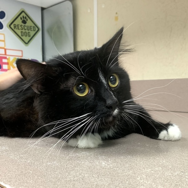 Salem