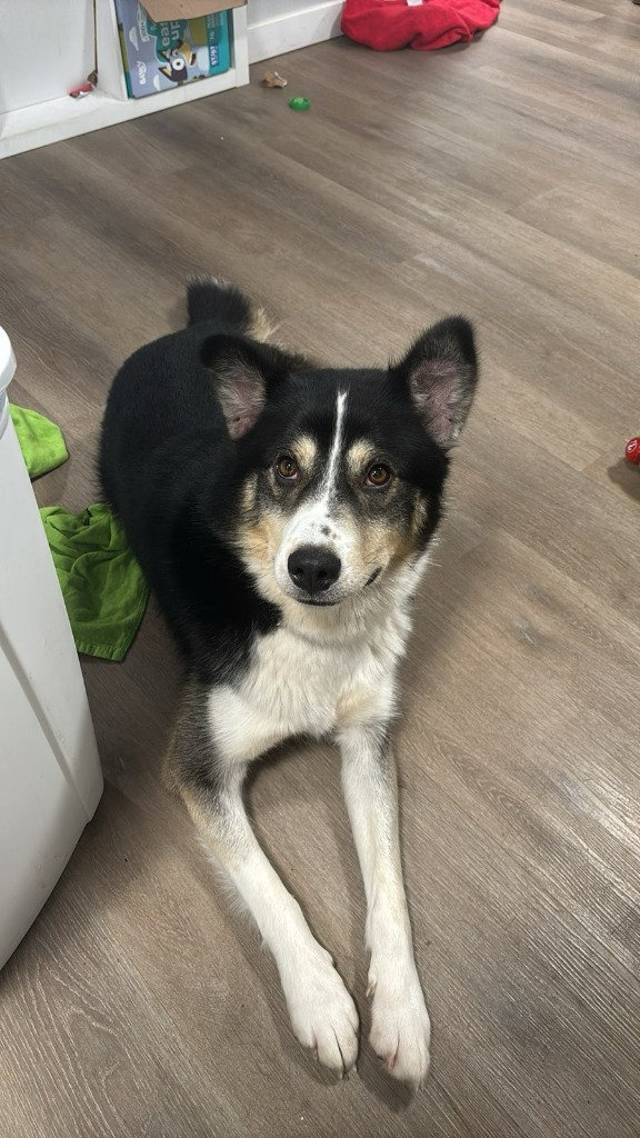 Tucker