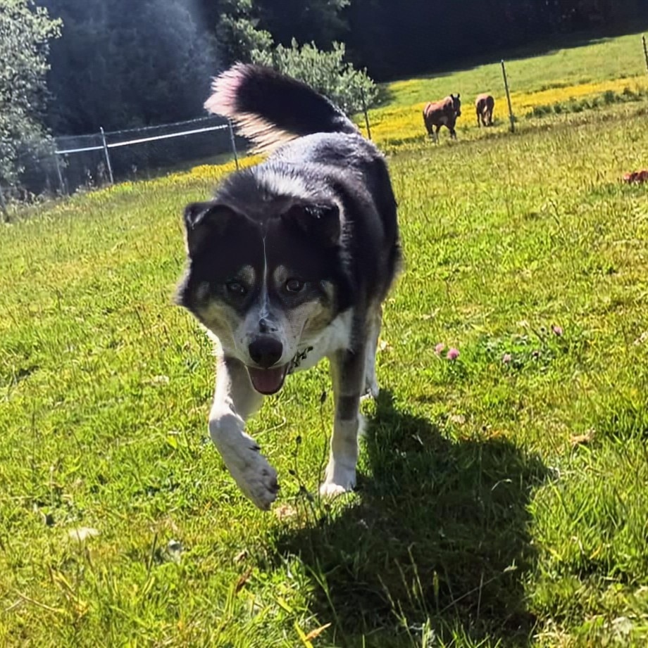 Tucker