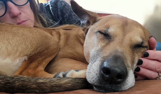 Lena - A Sweet Senior