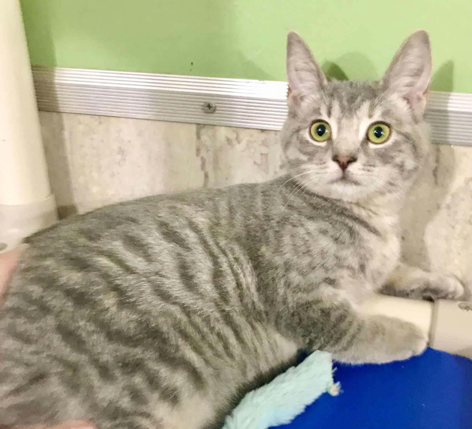 Matilda