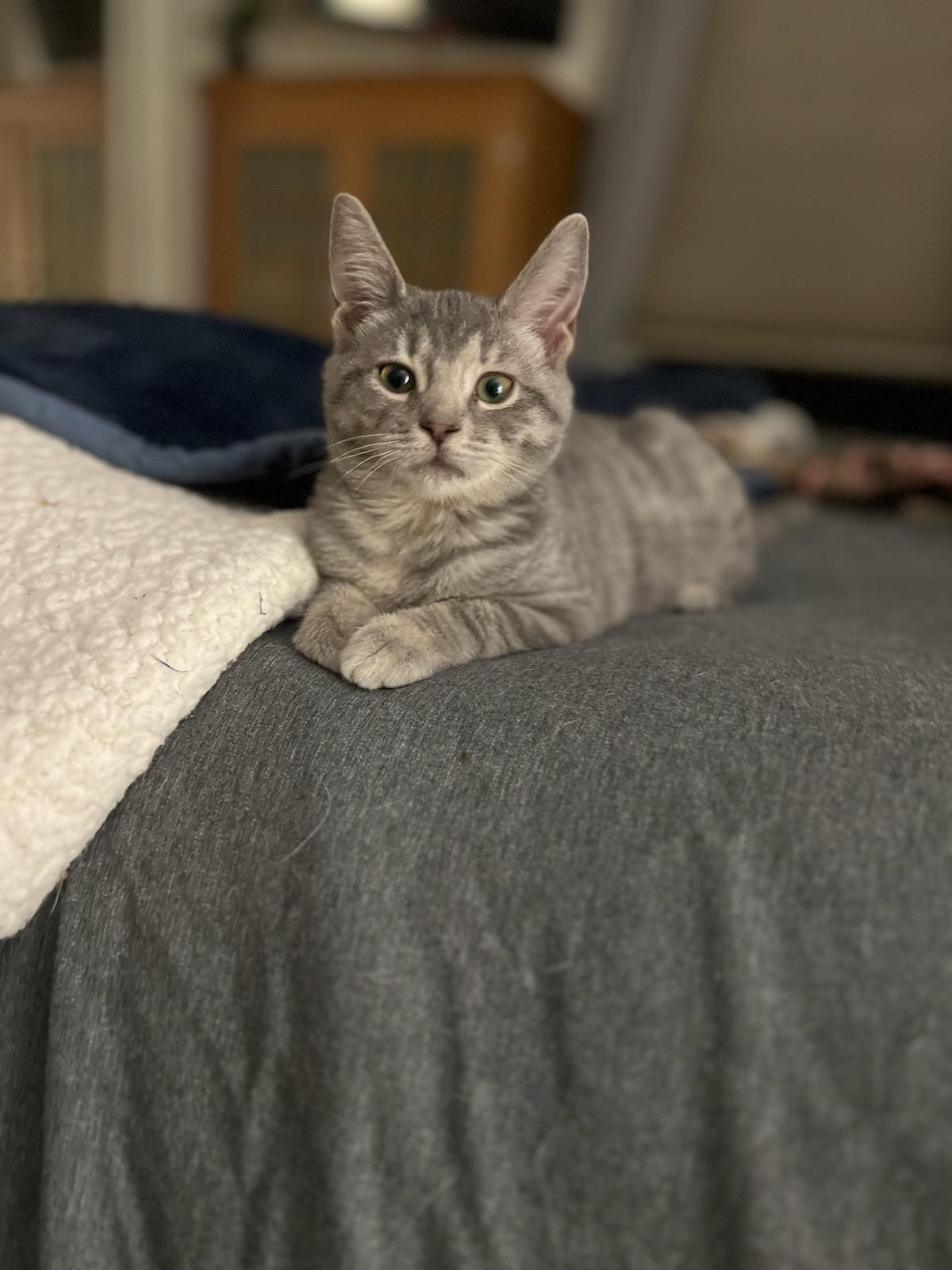 Matilda