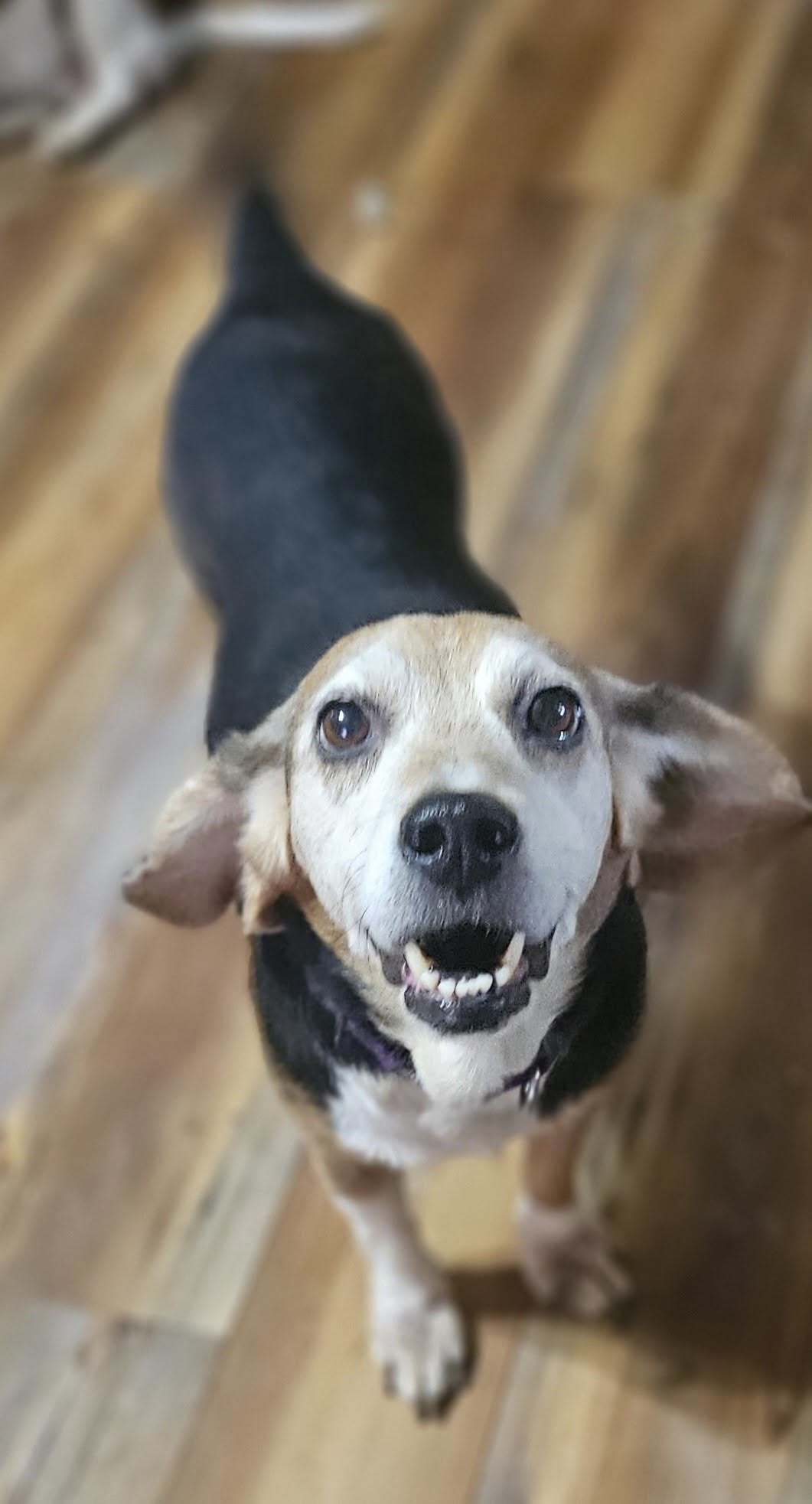 Sally Ann