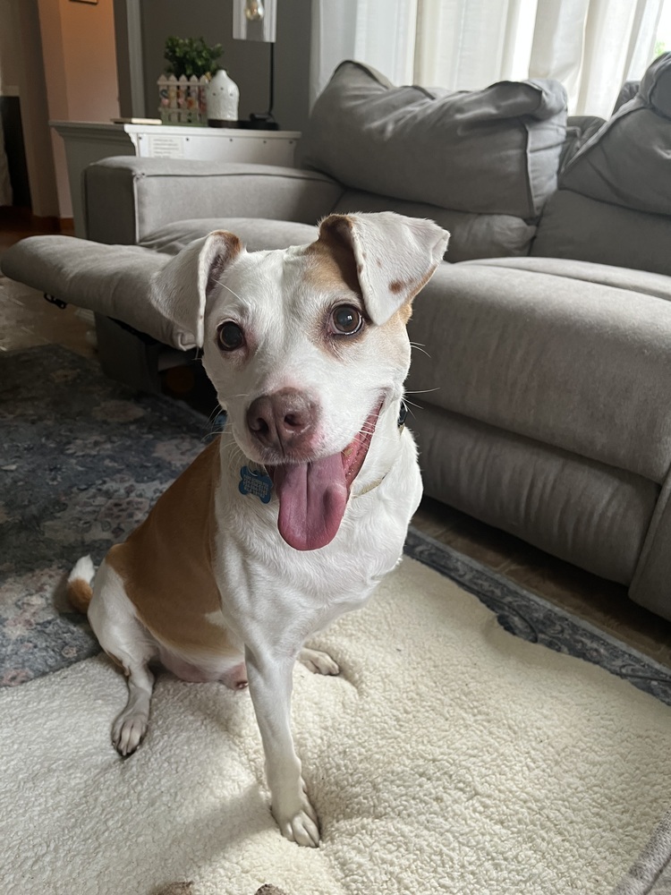 Bronson