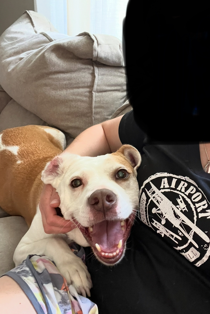 Bronson