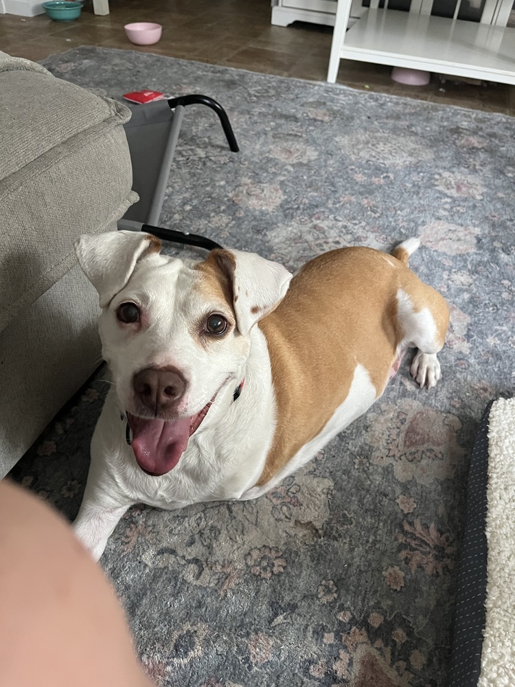 Bronson