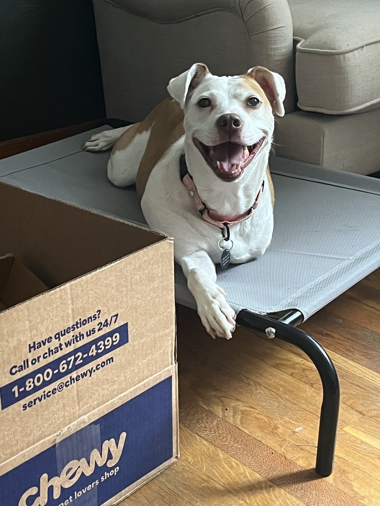 Bronson