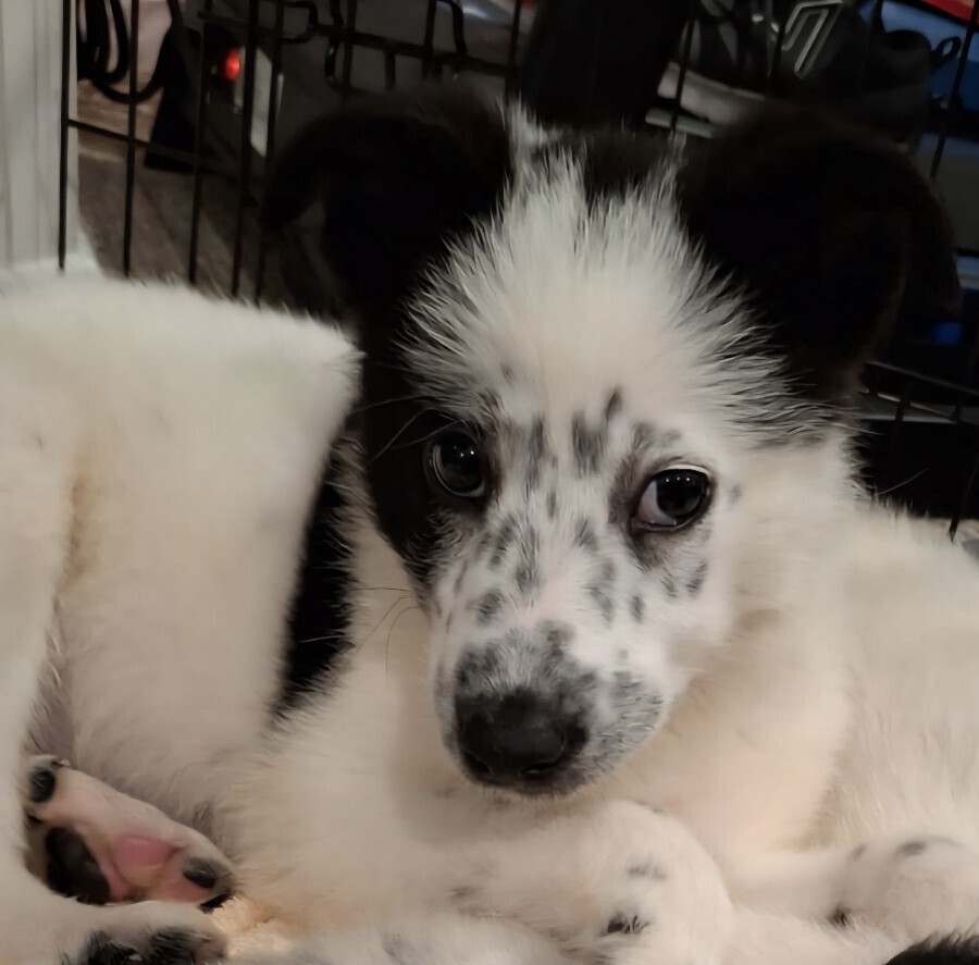 Baby Ava