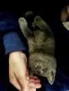 Lucky photo 5