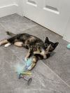 Missy photo 3