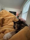 Missy photo 4