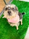 Wilma photo 1