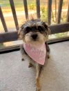 Wilma photo 2