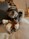 Wilma photo 3