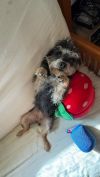 Wilma photo 6