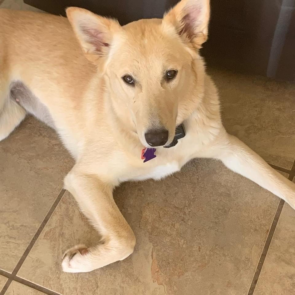 Kida