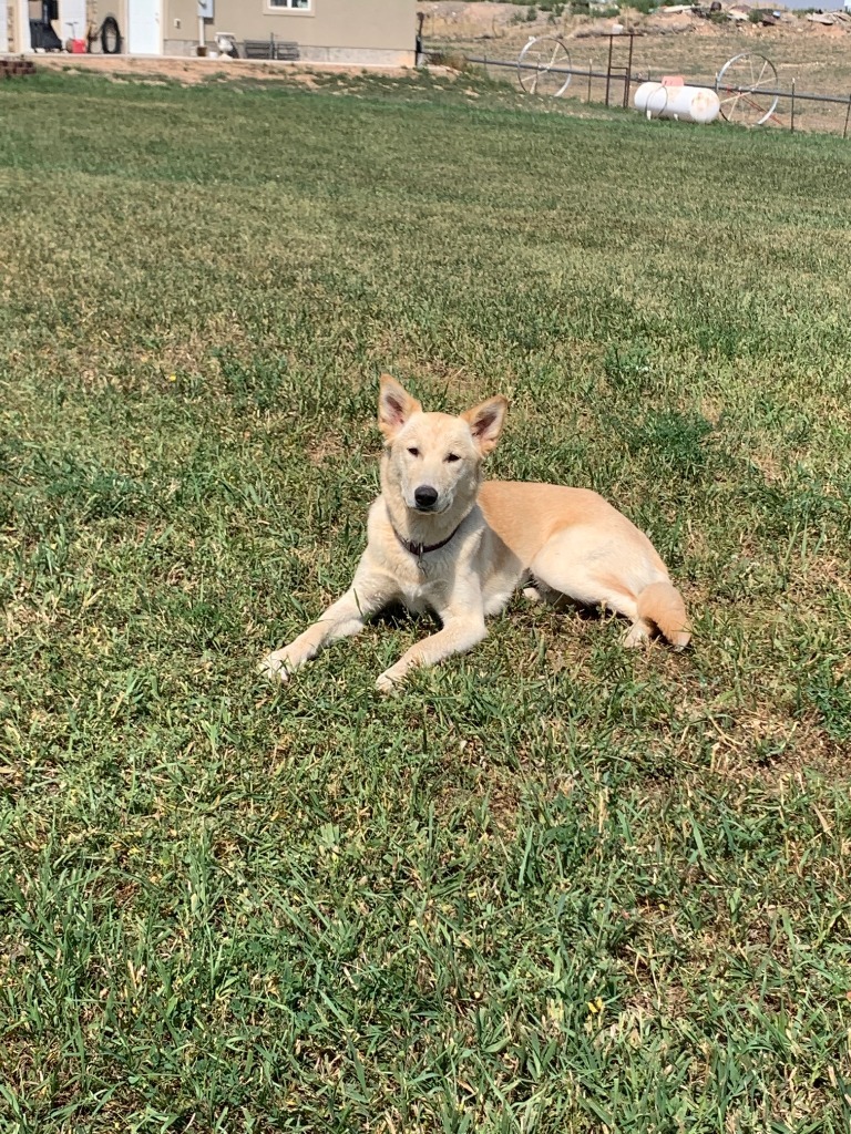 Kida