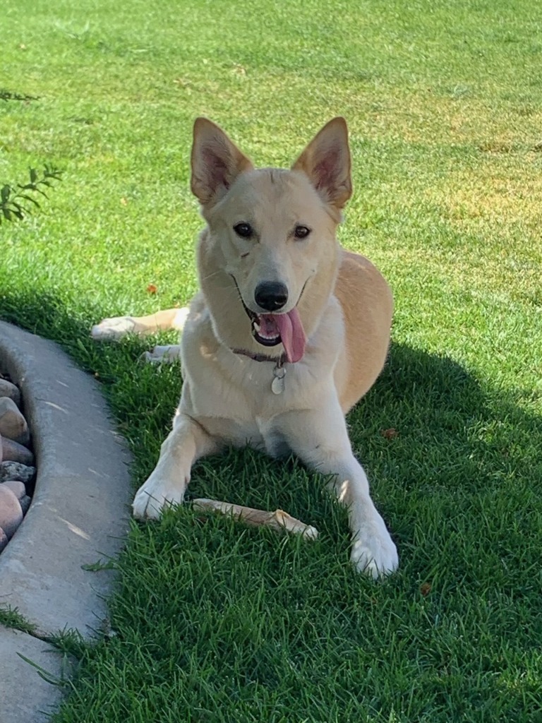Kida