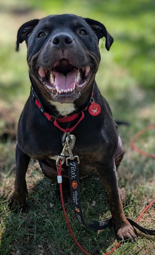 Ares