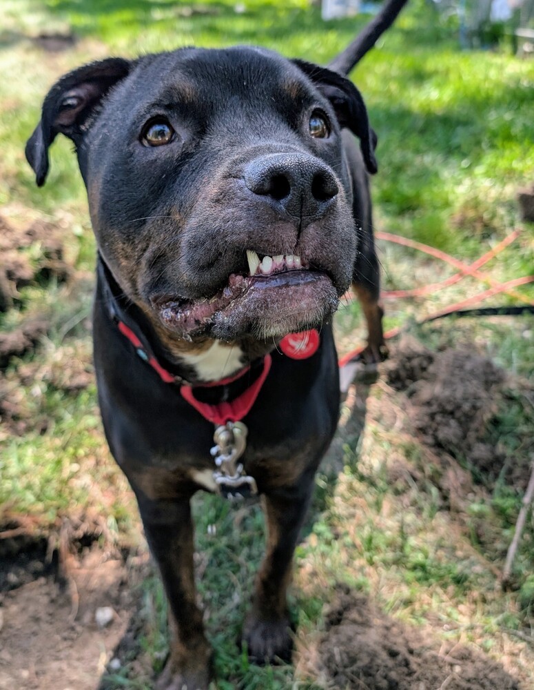 Ares