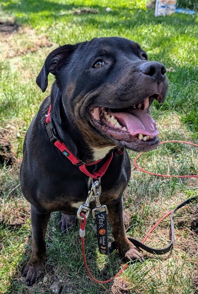 Ares