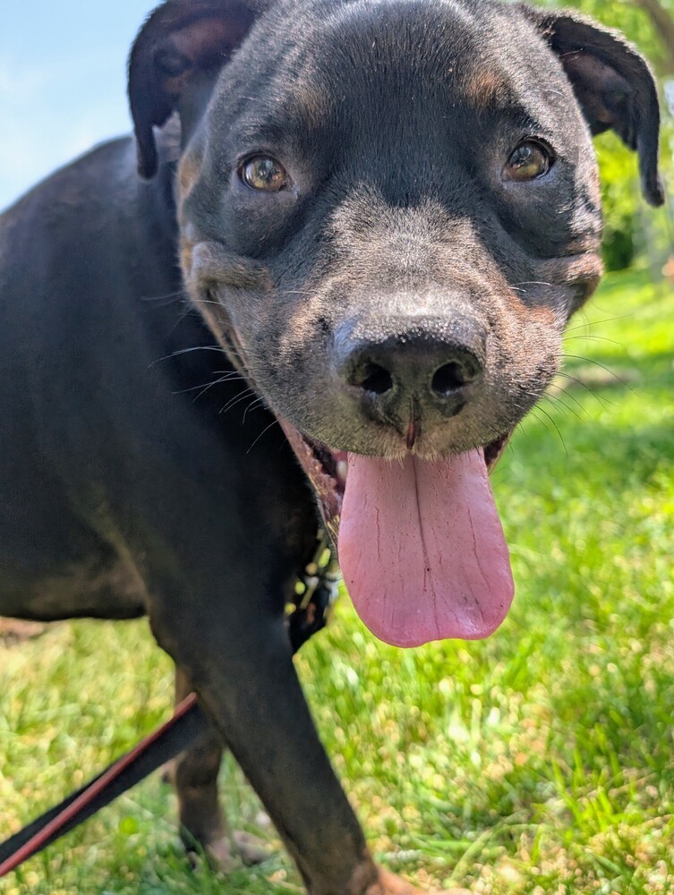 Ares