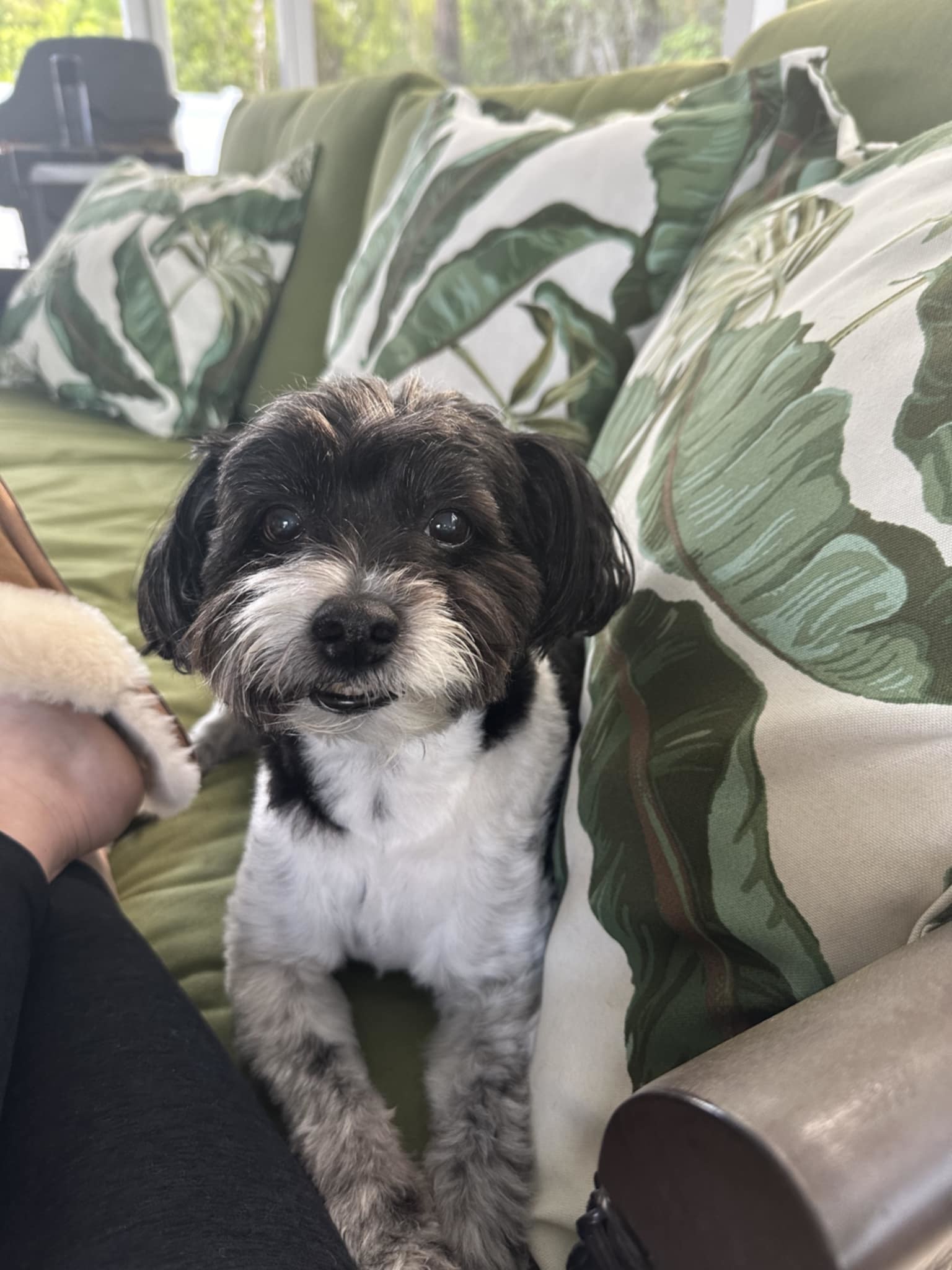 Oliver - M