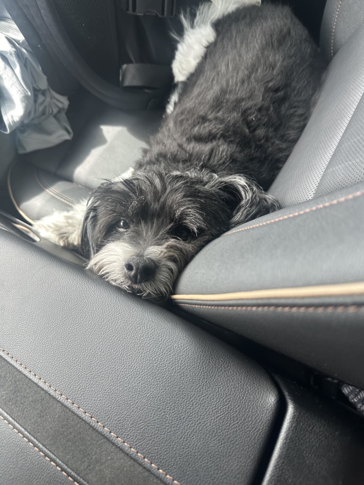Oliver - M