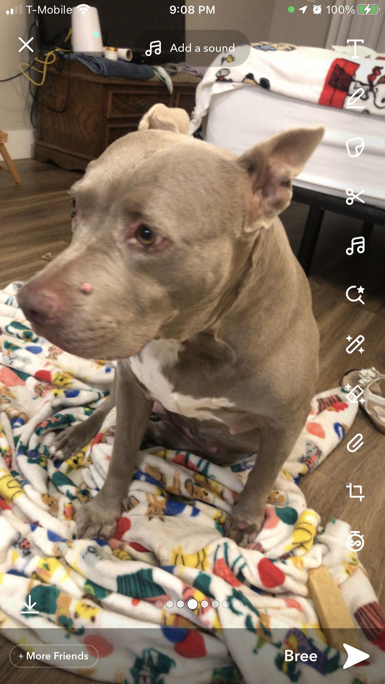 ELLA