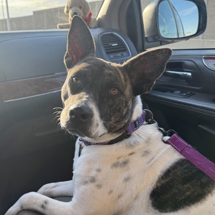 Penny