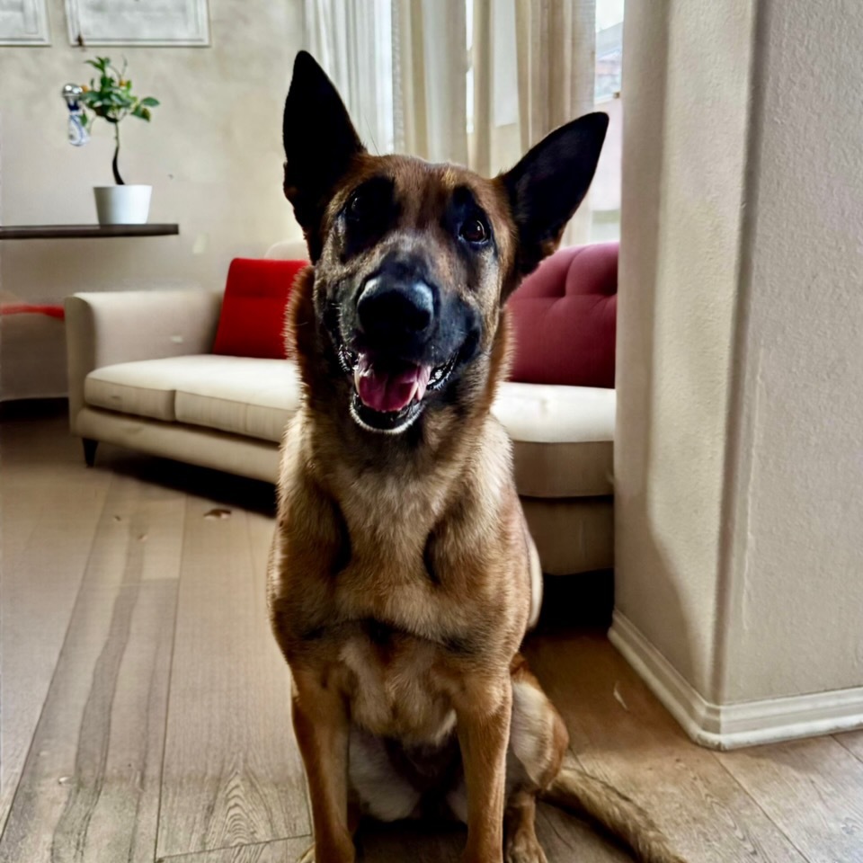 Zoey