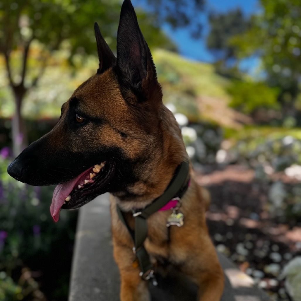 Zoey