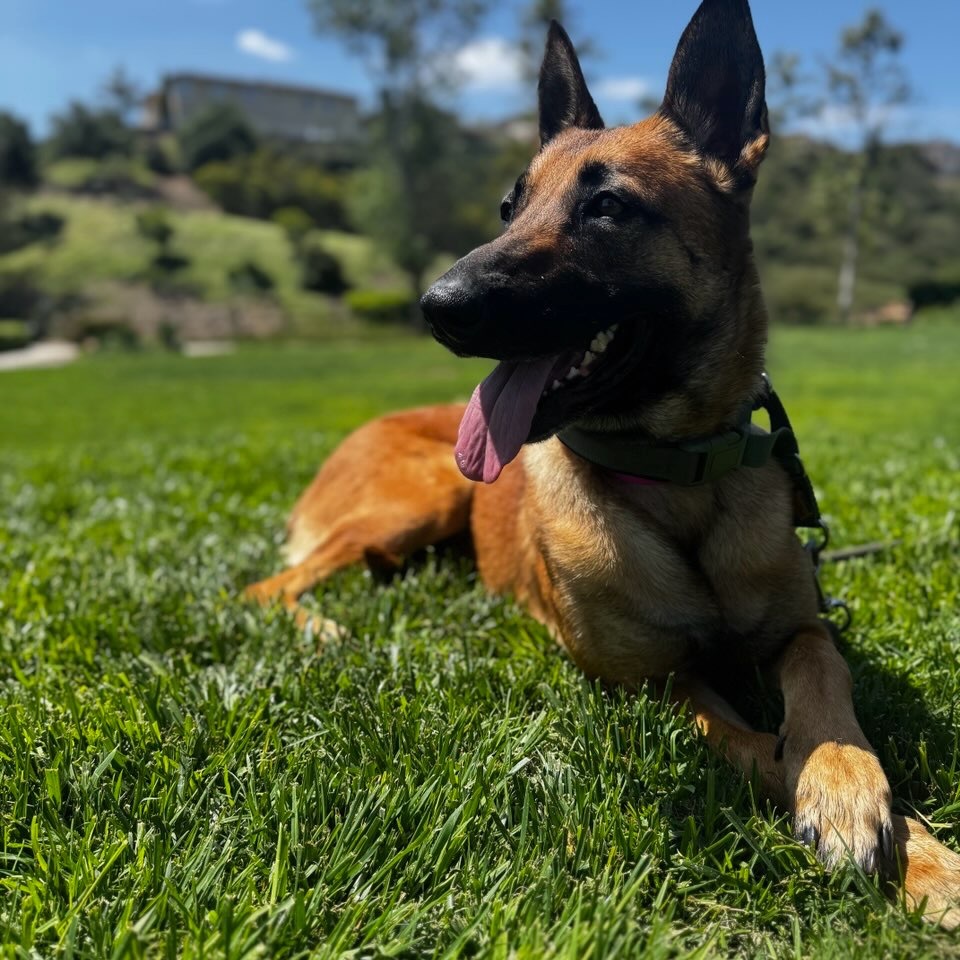 Zoey