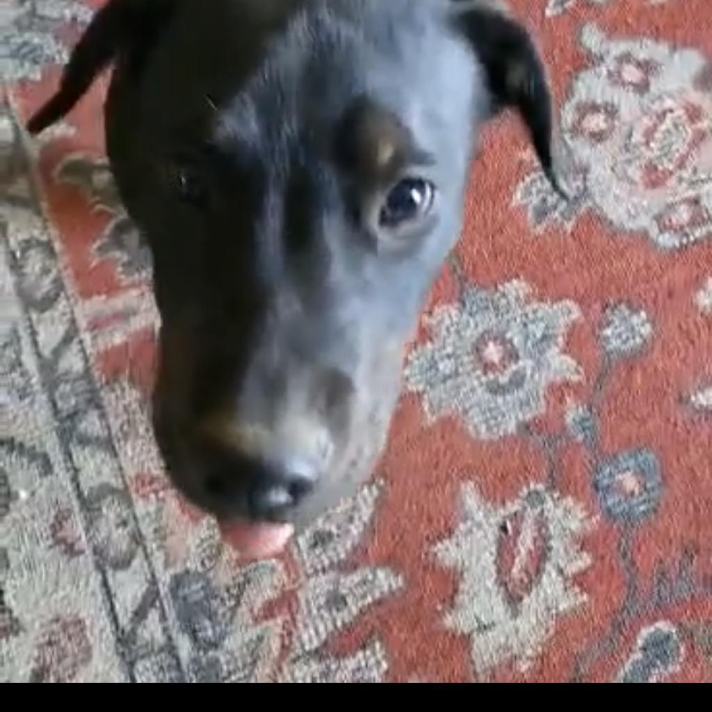 jet