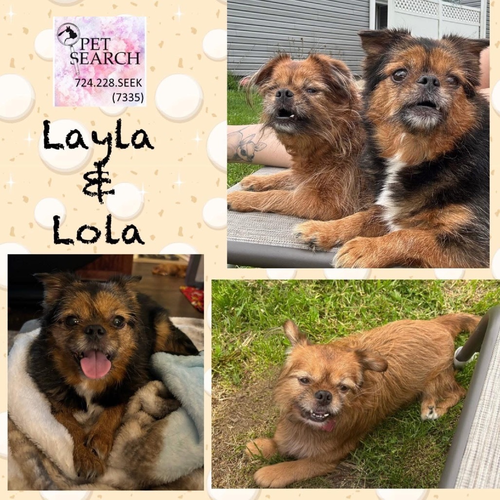 Lola