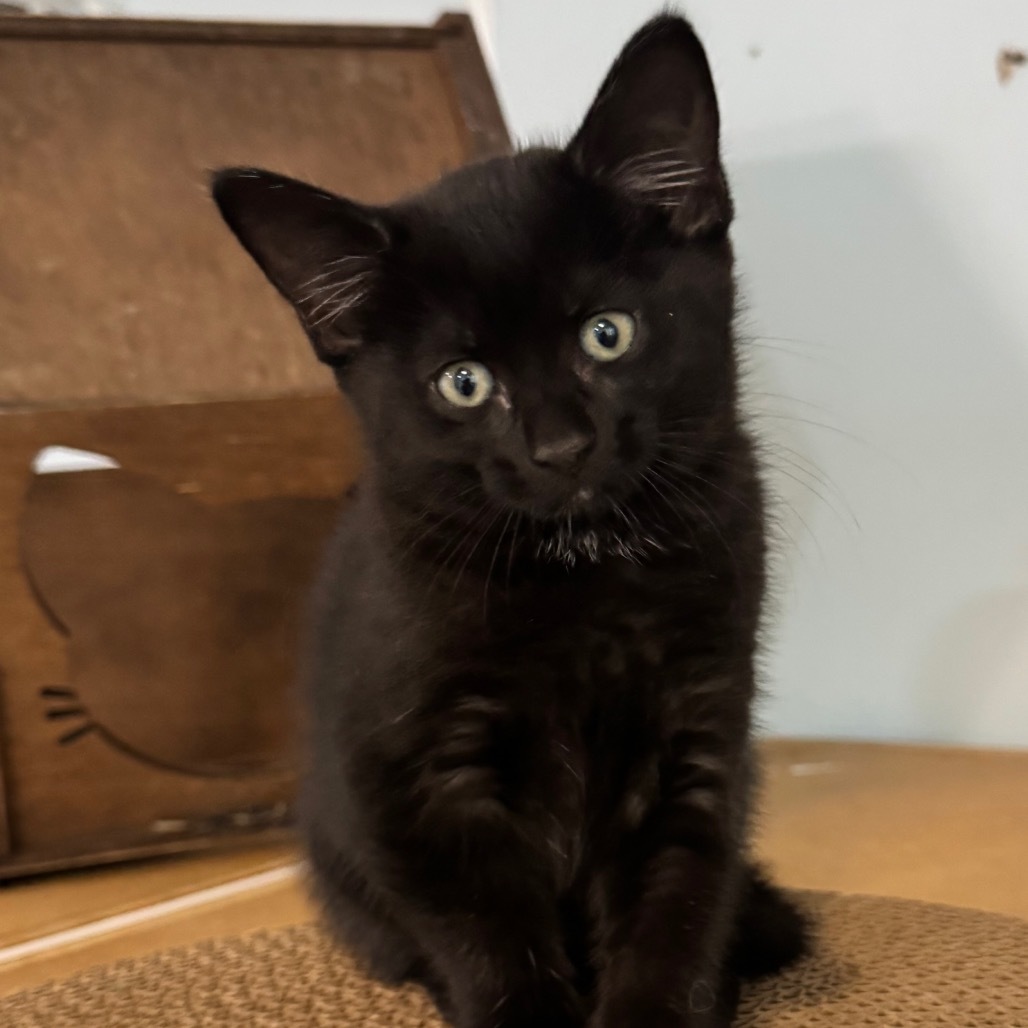Ernie