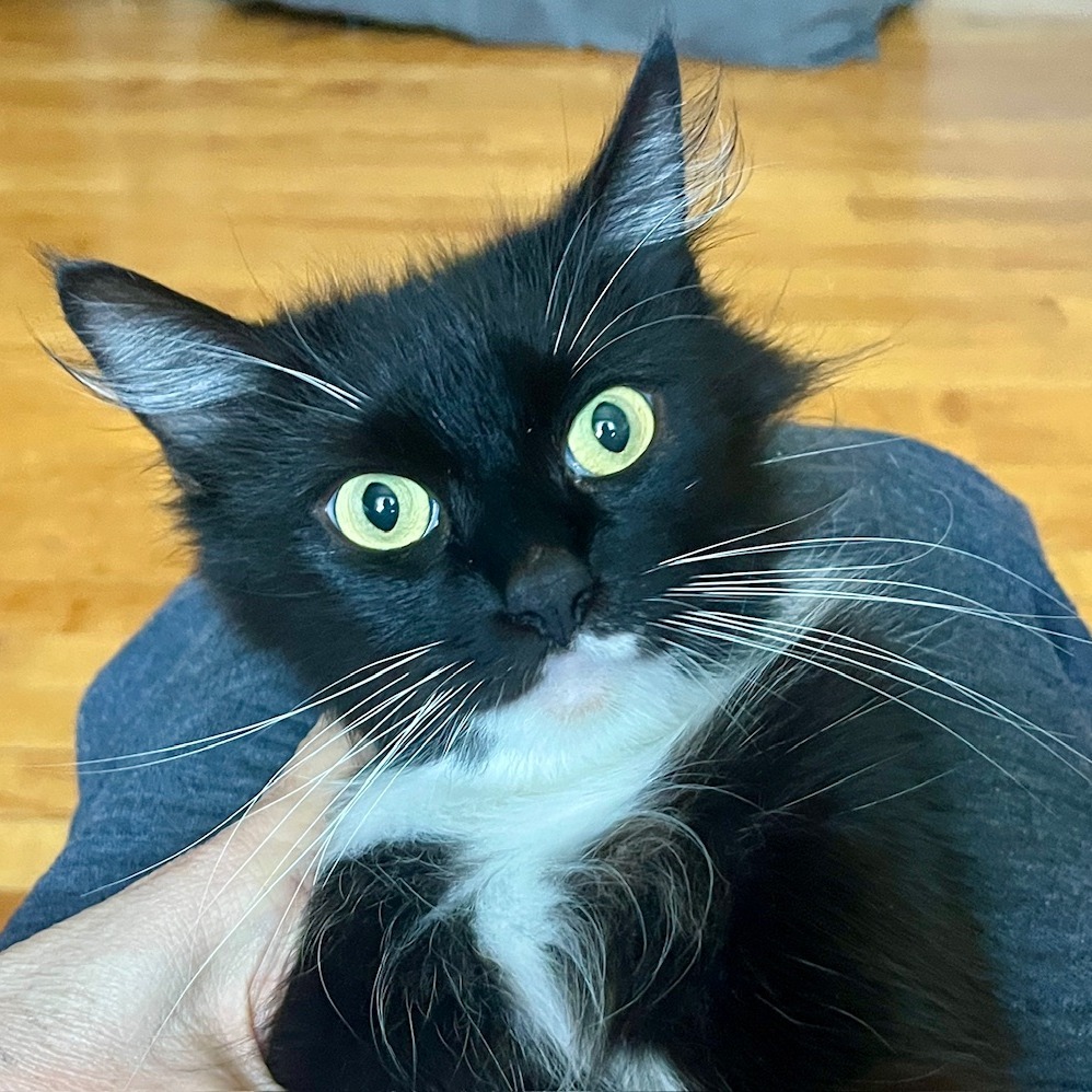 Sweetie