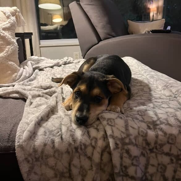 Roscoe