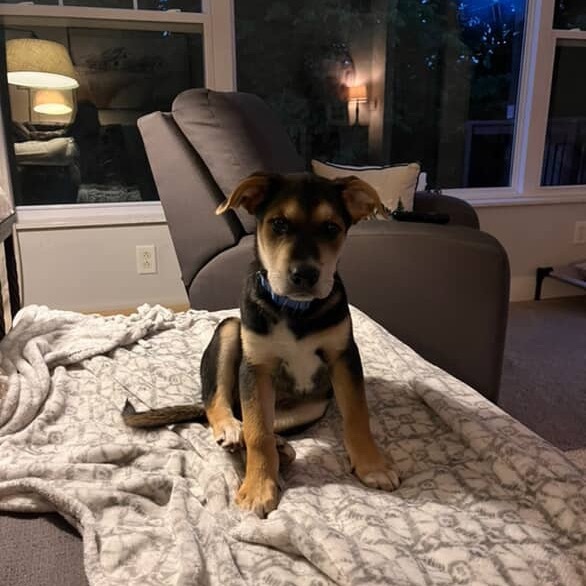 Roscoe