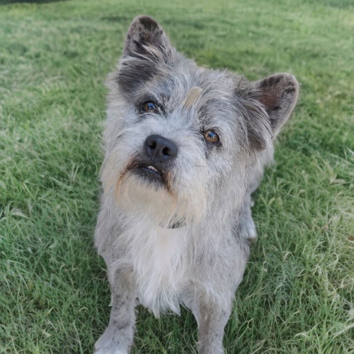 MIKLO 1