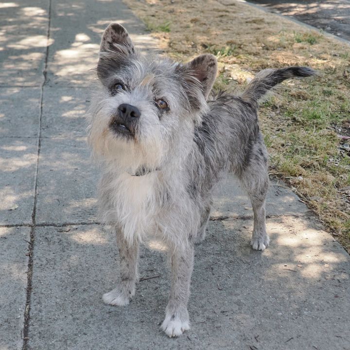 MIKLO 2